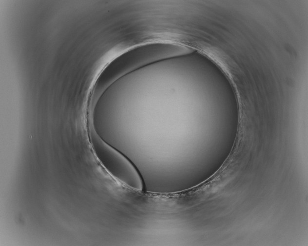 X0000111361104200907171158