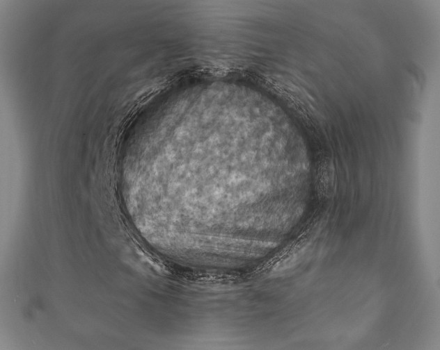 X0000111361105200907171158