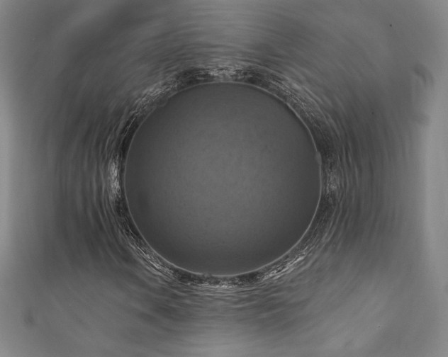 X0000111361106200907171158