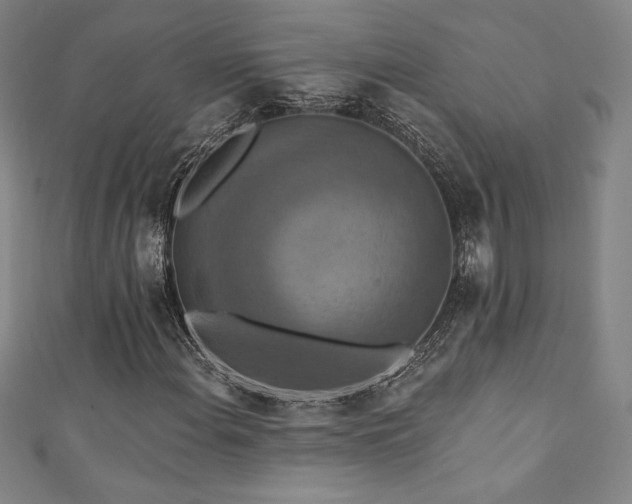 X0000111361108200907171158