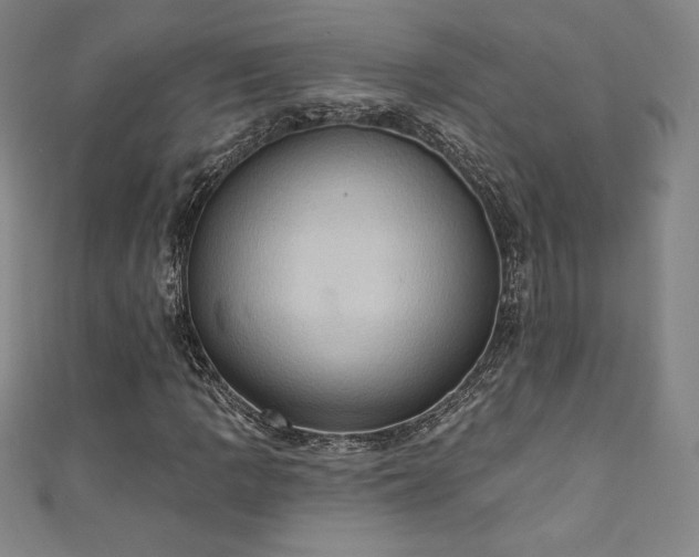 X0000111361109200907171158