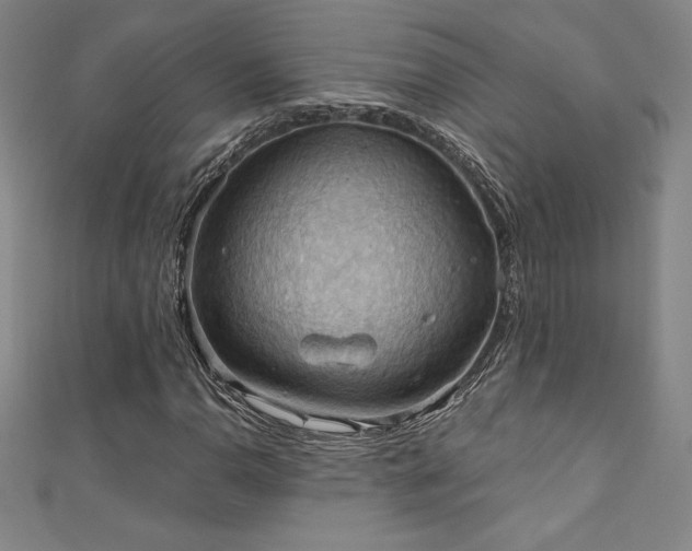 X0000111361110200907171158