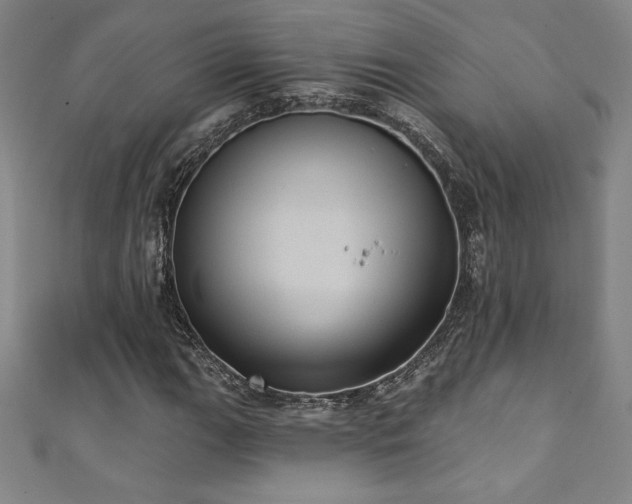 X0000111361111200907171158
