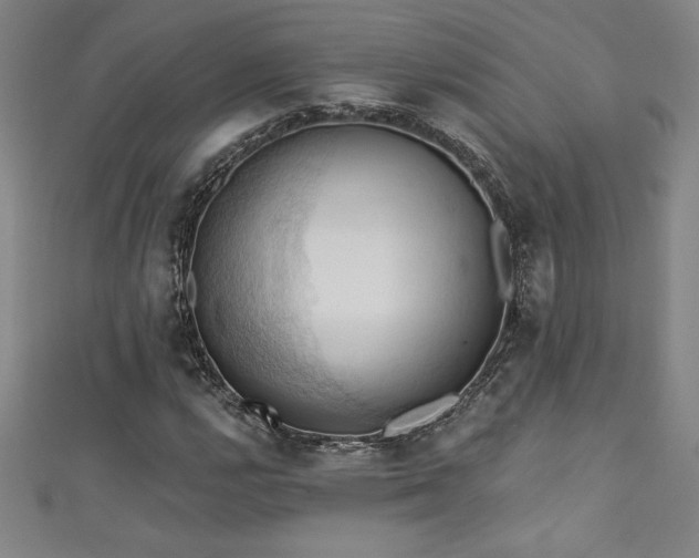 X0000111361112200907171158