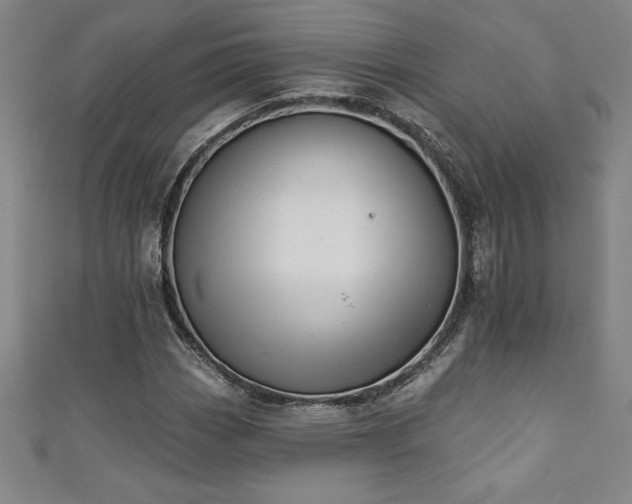 X0000111361113200907171158