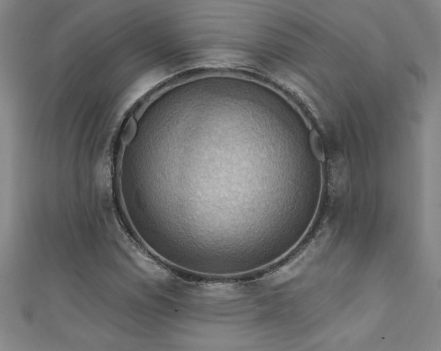 X0000111361114200907171158