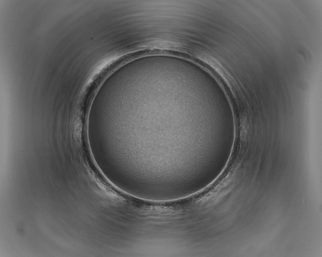 X0000111361115200907171158
