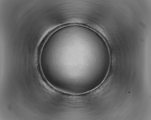 X0000111361116200907171158
