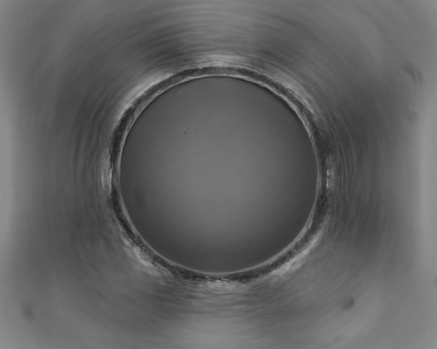 X0000111361117200907171158