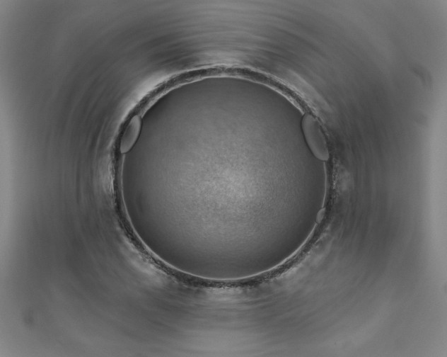 X0000111361118200907171158