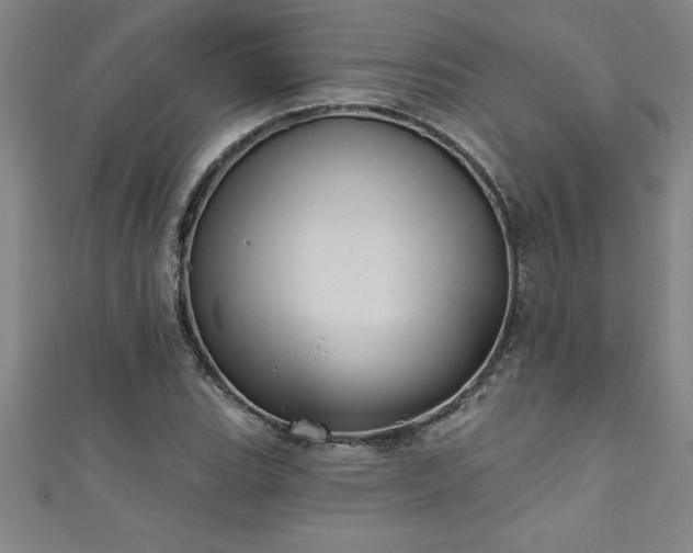 X0000111361119200907171158