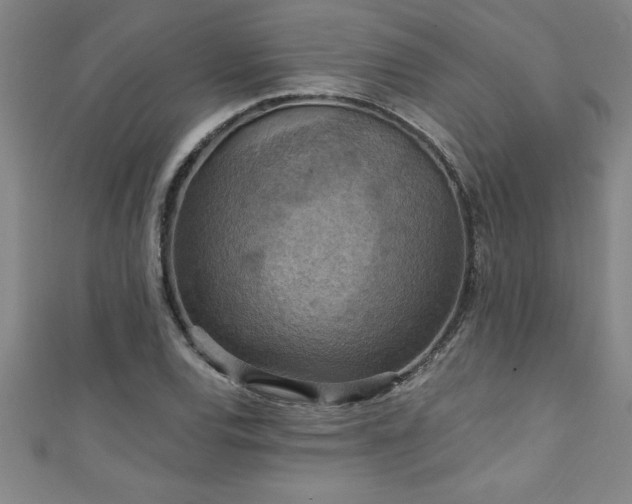X0000111361120200907171158