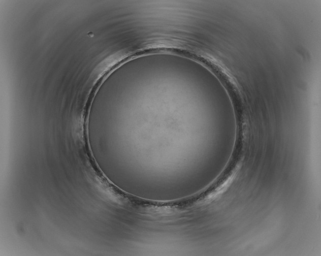X0000111361121200907171158