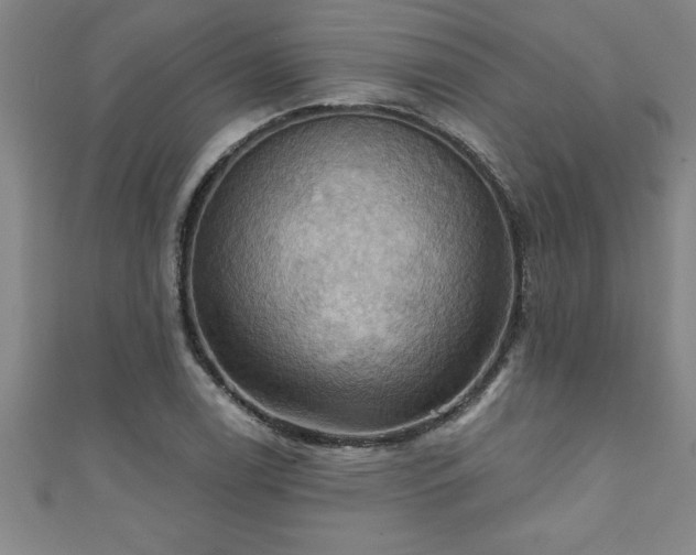X0000111361122200907171158