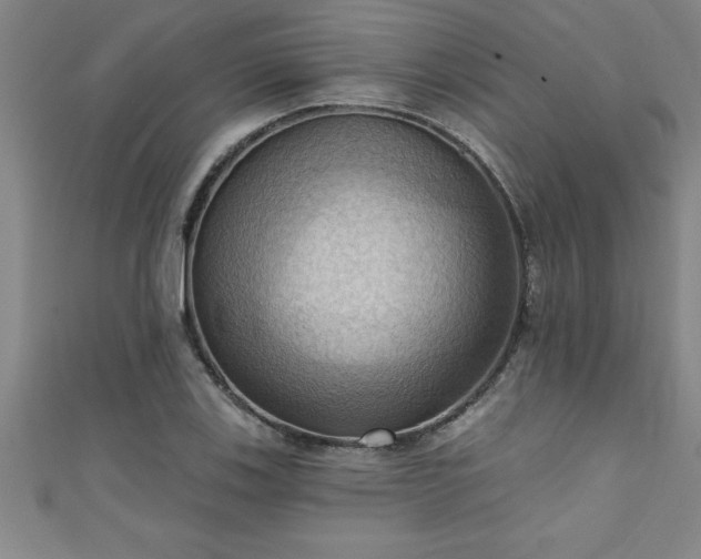X0000111361123200907171158