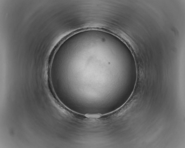 X0000111361124200907171158
