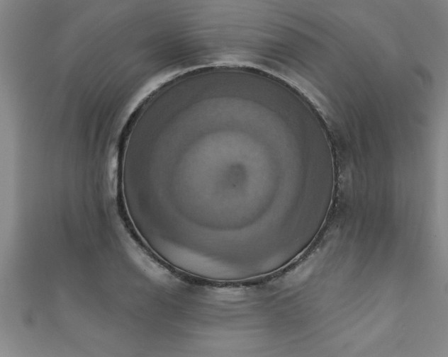 X0000111361126200907171158