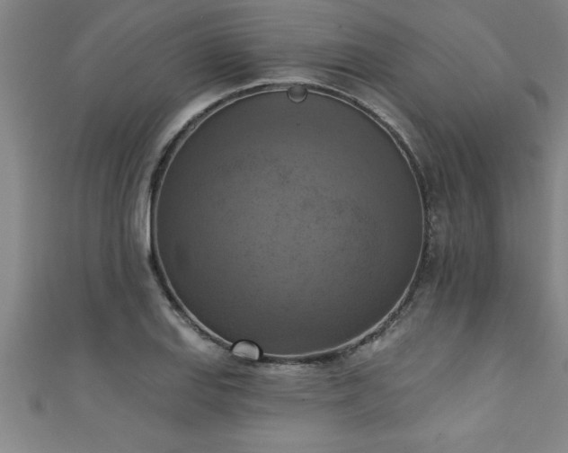 X0000111361127200907171158