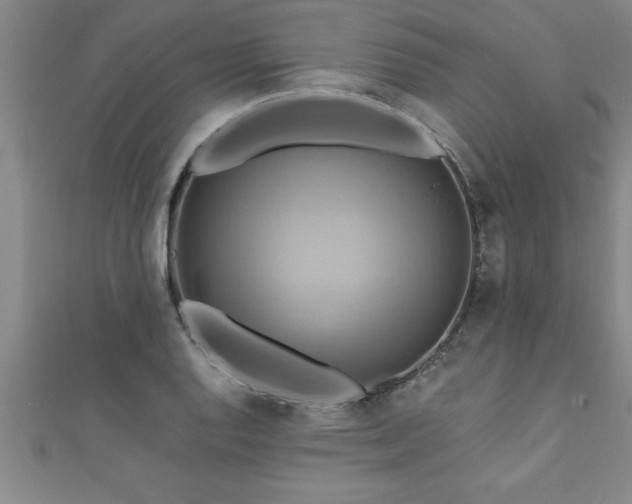 X0000111361128200907171158