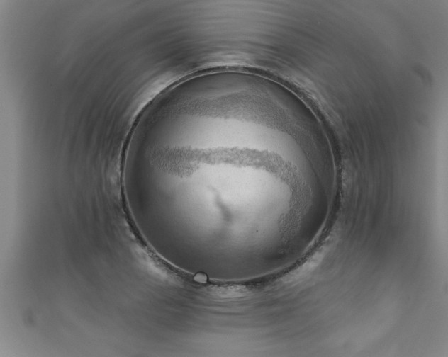 X0000111361129200907171158