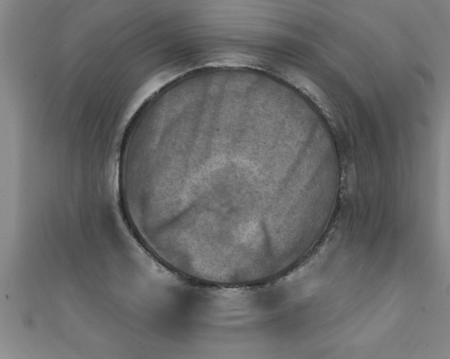 X0000111361130200907171158