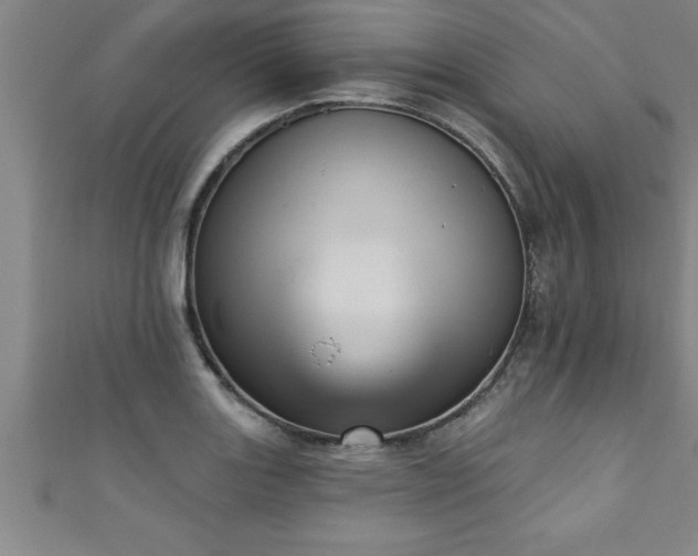 X0000111361131200907171158