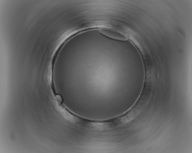 X0000111361132200907171158