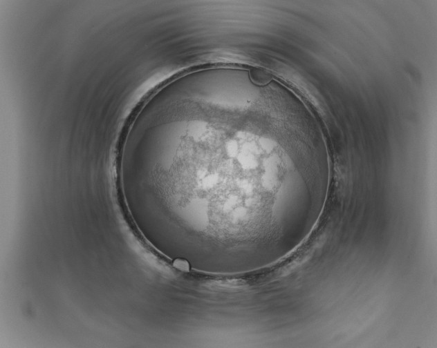 X0000111361133200907171158
