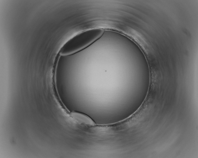X0000111361134200907171158