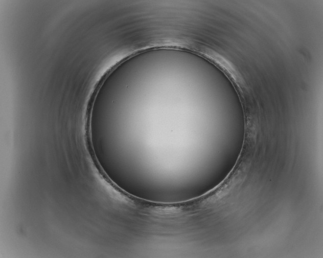 X0000111361135200907171158