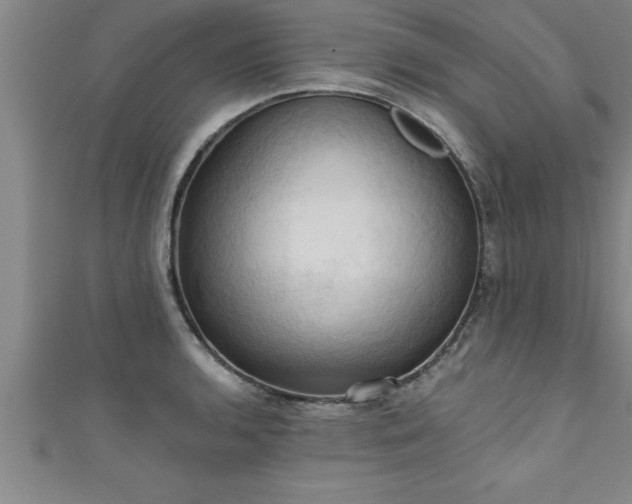 X0000111361136200907171158
