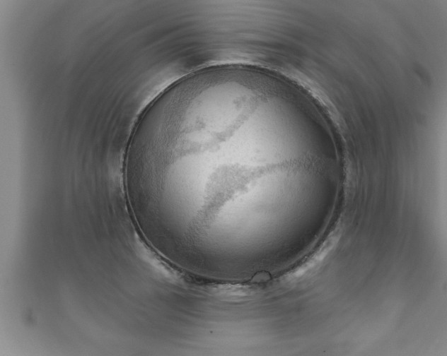 X0000111361137200907171158