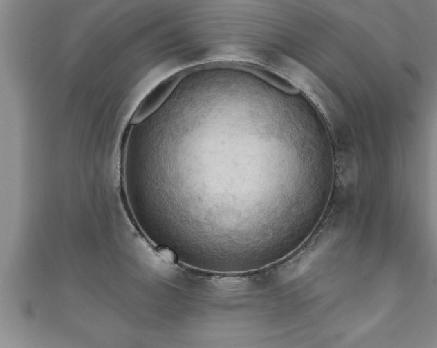 X0000111361140200907171158