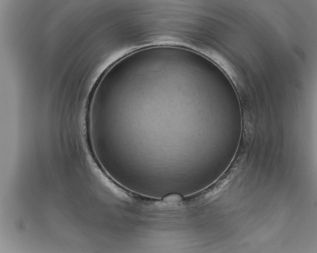 X0000111361142200907171158
