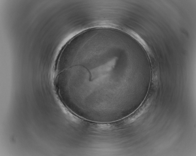 X0000111361144200907171158