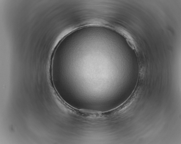 X0000111361146200907171158