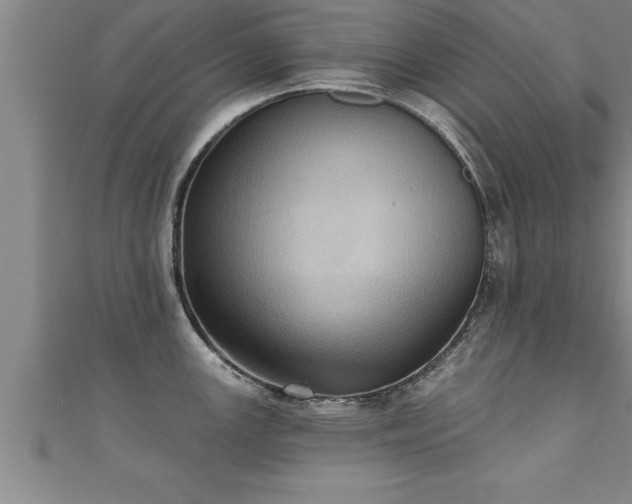 X0000111361147200907171158