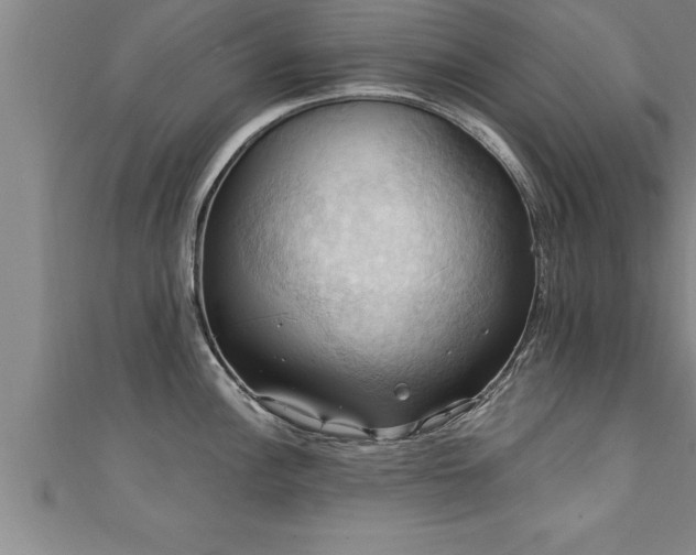 X0000111361148200907171158