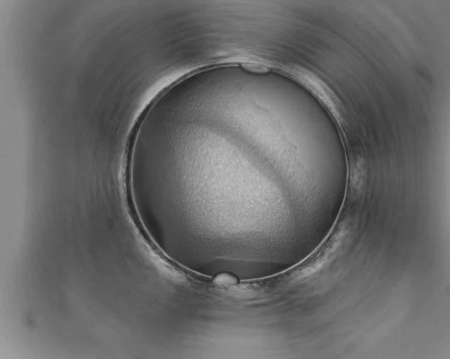 X0000111361149200907171158