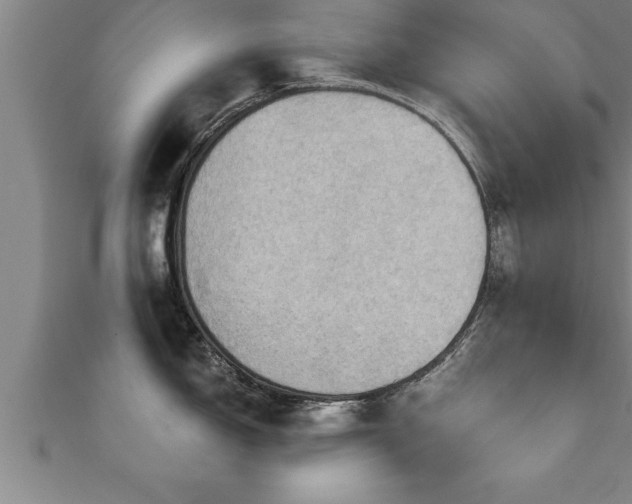 X0000111361150200907171158