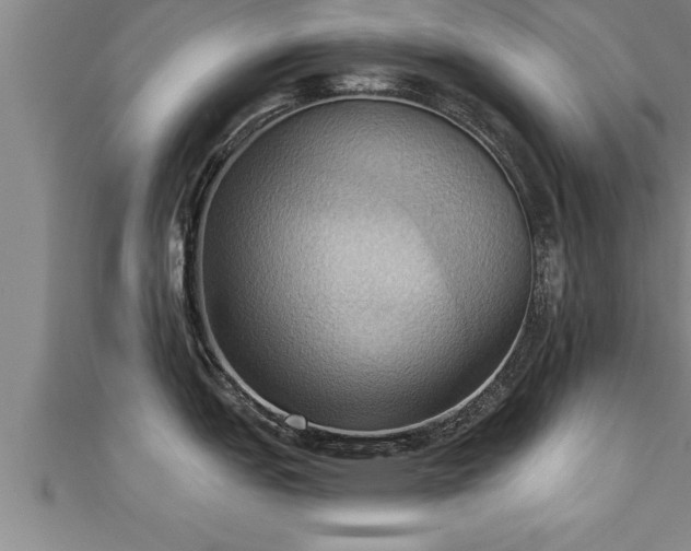 X0000111361151200907171158