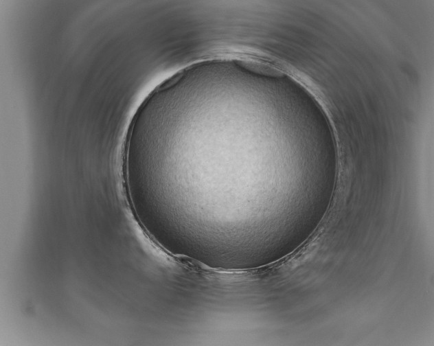 X0000111361152200907171158