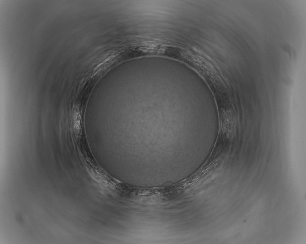 X0000111361154200907171158