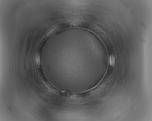 X0000111361155200907171158