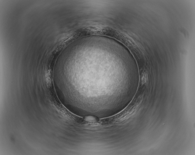 X0000111361156200907171158