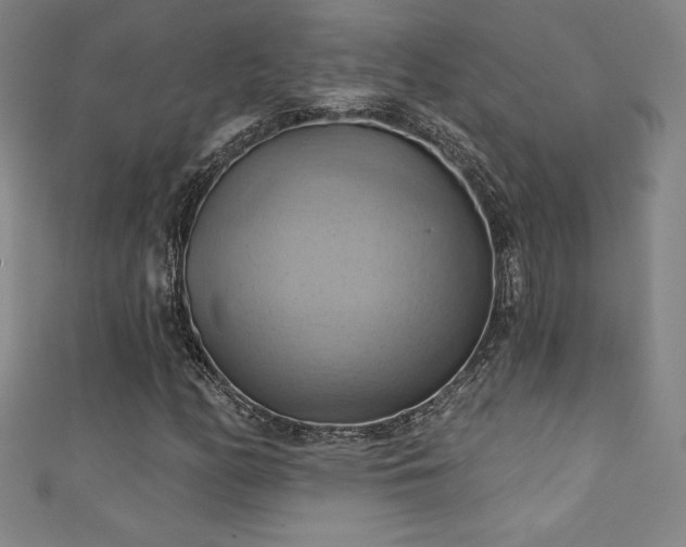 X0000111361158200907171158
