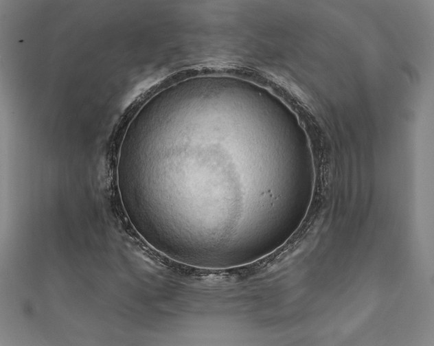 X0000111361160200907171158