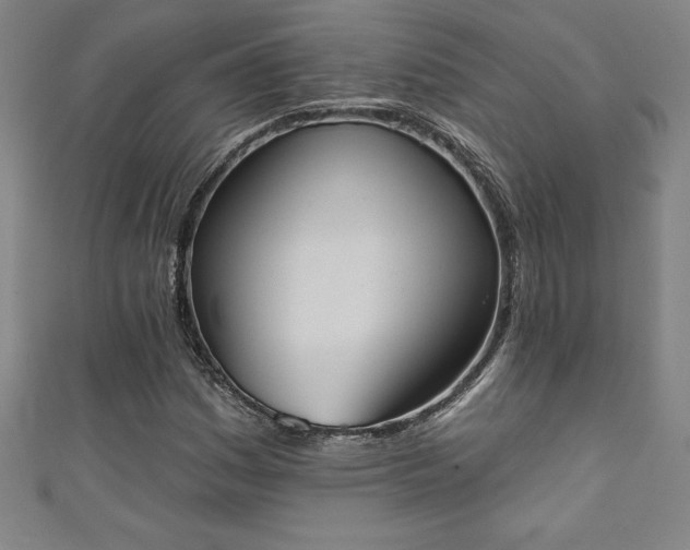 X0000111361161200907171158