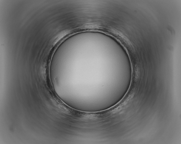 X0000111361162200907171158