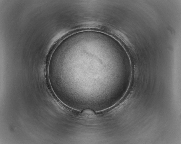 X0000111361164200907171158